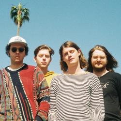 The Velveteins